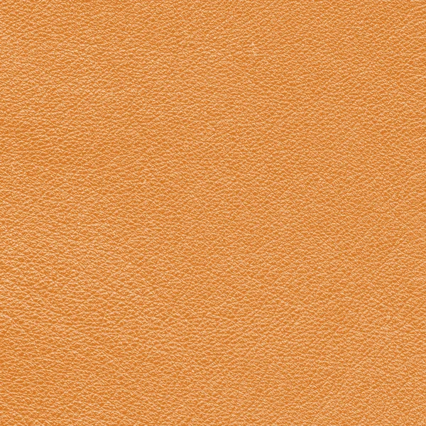 Leather texture — Stock Photo, Image