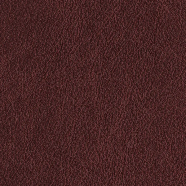 Leather texture — Stock Photo, Image