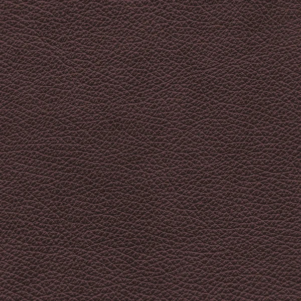 Leather texture — Stock Photo, Image