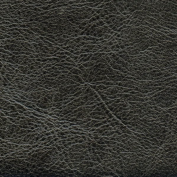 Leather texture — Stock Photo, Image