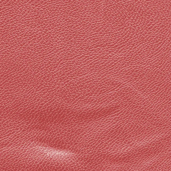 Red  leather — Stock Photo, Image
