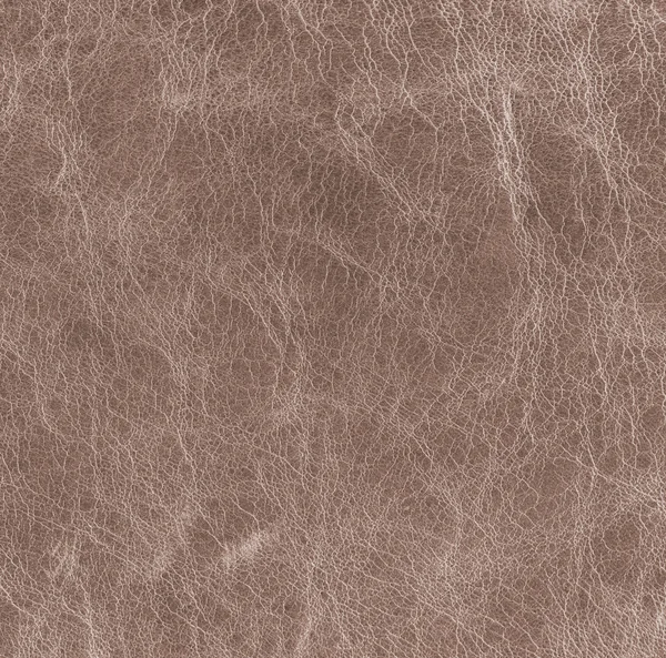 Leather texture — Stock Photo, Image