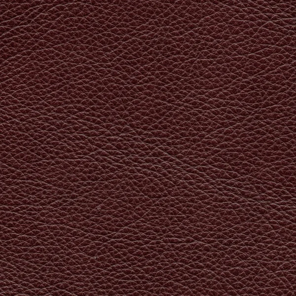 Leather texture — Stock Photo, Image