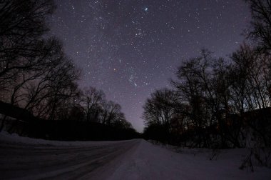 The starry sky over the road in winter