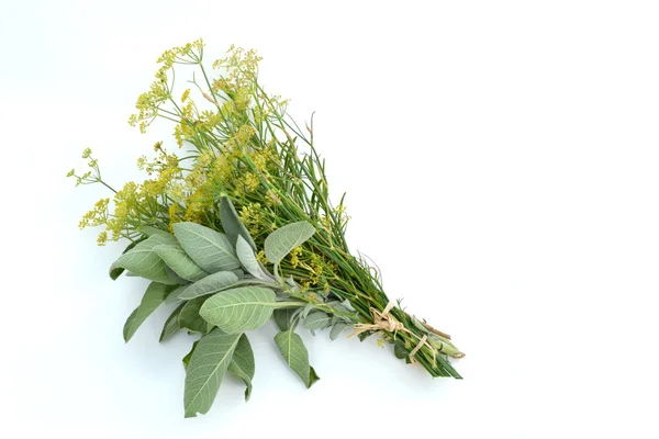 Fennel with sage — Stock Photo, Image