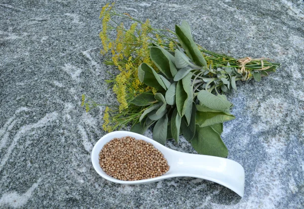 Herbs — Stock Photo, Image