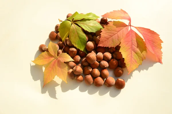 Hazelnuts with vine leaves — Stock Photo, Image