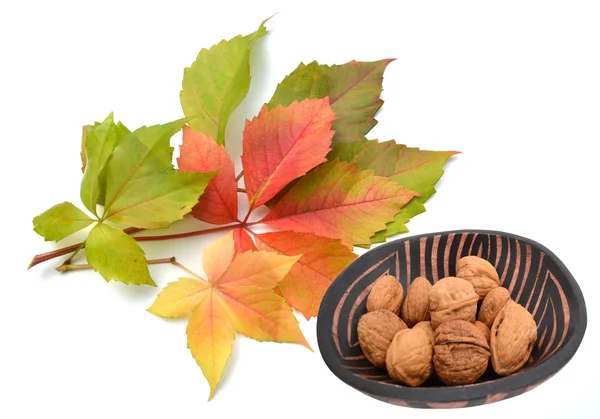 Autumn leaves with walnuts — Stock Photo, Image