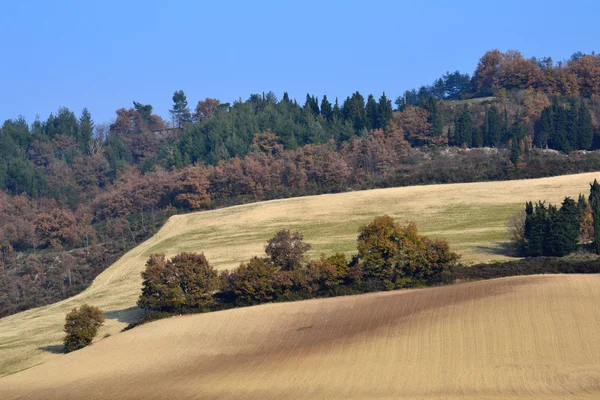 Landskapet i marche - Italien — Stockfoto