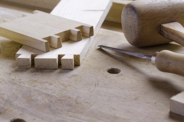 Pins ve kuyrukları kurtağzı ortak