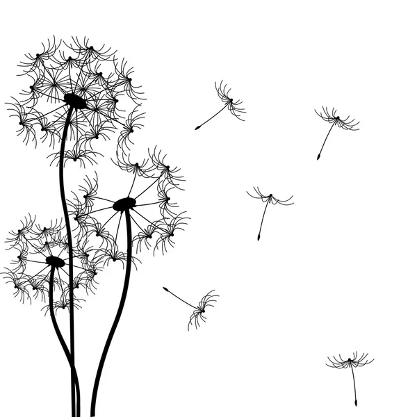 Vector dandelion