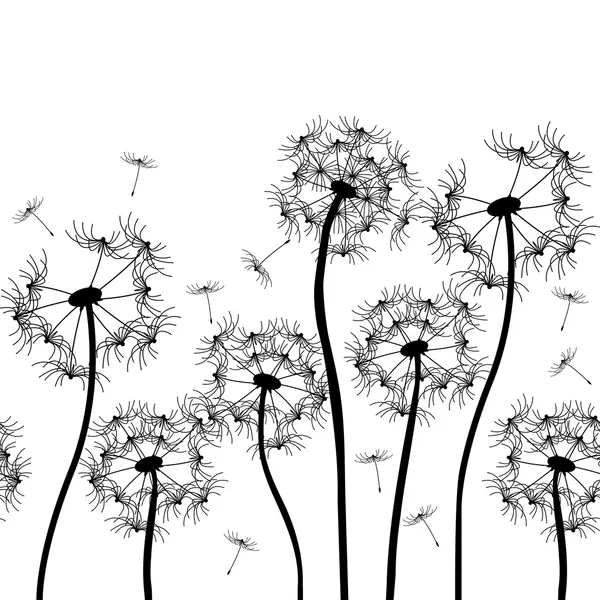 Vector dandelion — Stock Vector