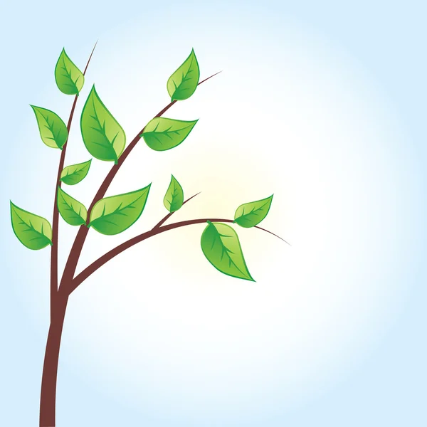 Albero verde vettoriale, foglie verdi — Vettoriale Stock