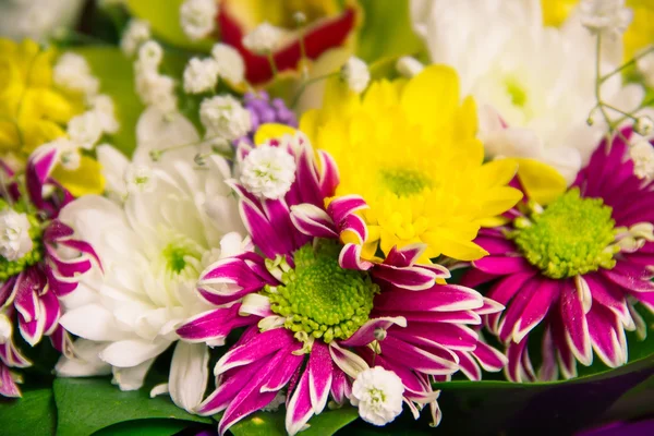 Boeket bloemen — Stockfoto