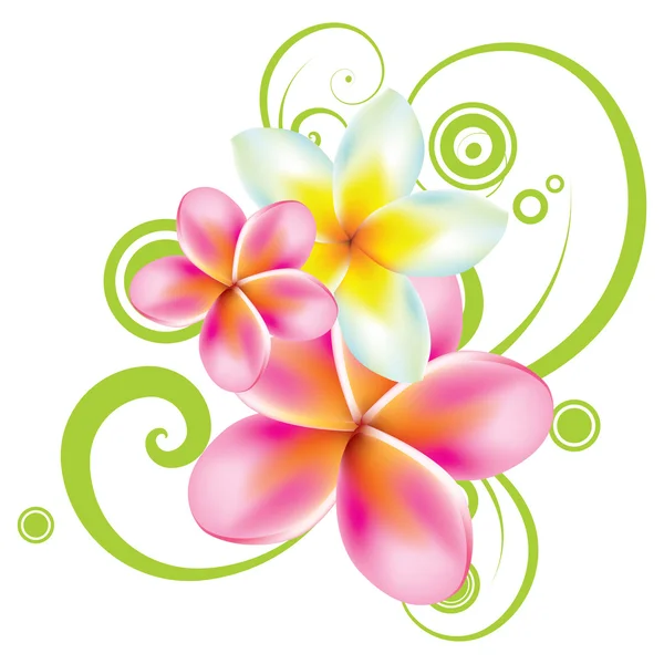 Illustration vectorielle de fleurs tropicales — Image vectorielle