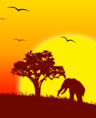 Savannah Afrika hayvanları gösteren resim