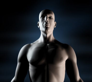 adam 3d