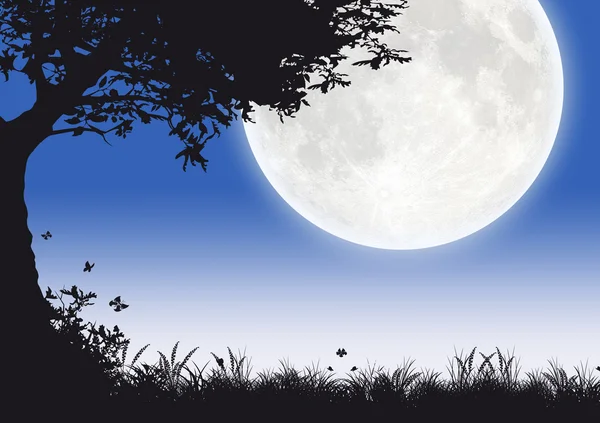 Full Moon — Stock Photo, Image