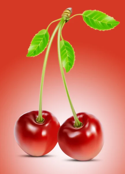 Cherry on red background — Stock Photo, Image