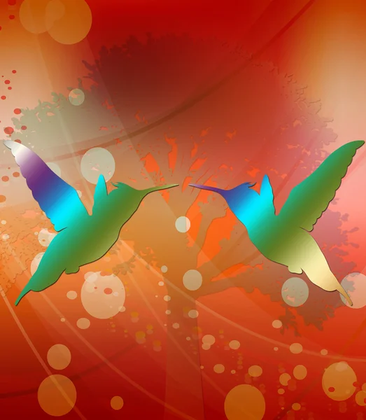 Hummingbirds illustration — Stock Photo, Image