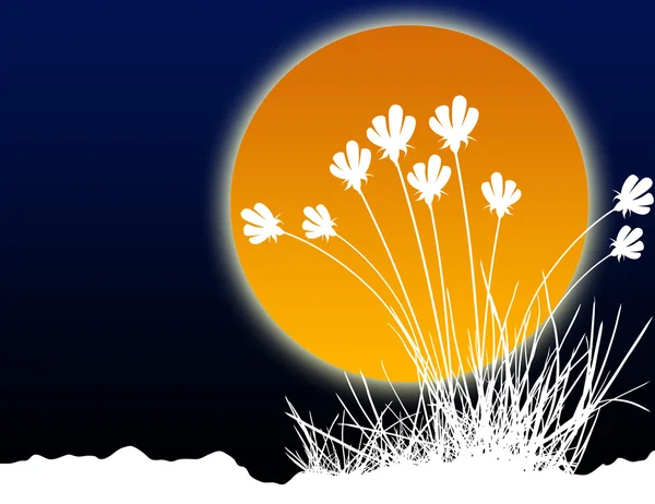 Illustration einer Sonne mit Blumen — Stockfoto