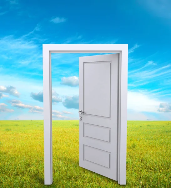 Домашняя дверь открыта в зеленом чистом поле — стоковое фото