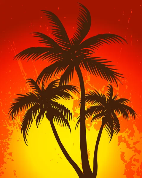 Тропічний пляж заходу сонця — стокове фото