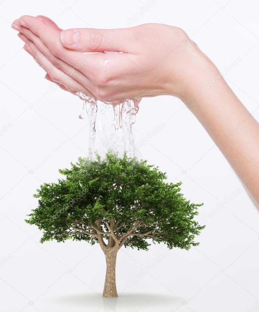 Watering the tree of hands