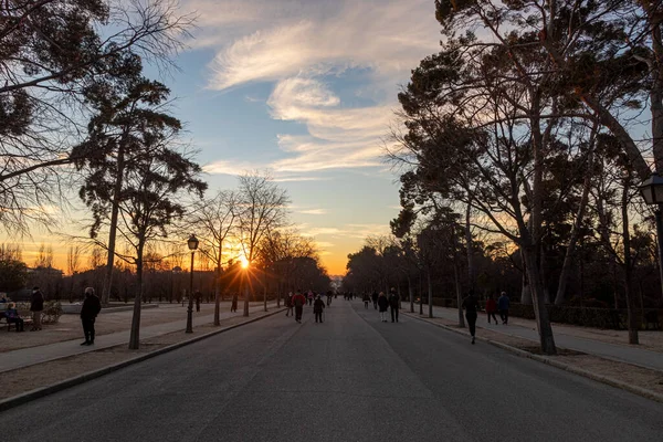 Madrid Spain Trees Buen Retiro Park Sunset — Stock Photo, Image