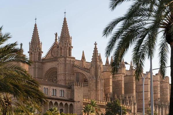 Palma Mallorca Spain Views Gothic Cathedral Santa Maria — Stockfoto