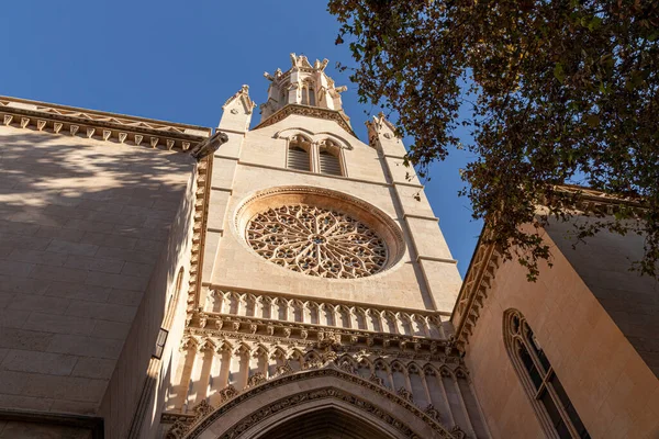Palma Mallorca Spain Esglesia Santa Eularia Saint Eulalia Church — Foto Stock