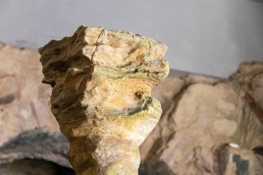 Boveda de Mera, Spain. The Roman Temple of Santalla or Santa Eulalia, dedicated to goddess Cybele