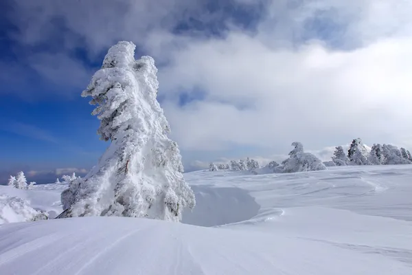 Fantastiskt vinterlandskap. — Stockfoto