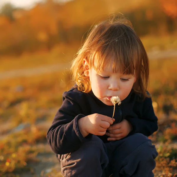 Hermoso niño soplando lejos flor de diente de león —  Fotos de Stock