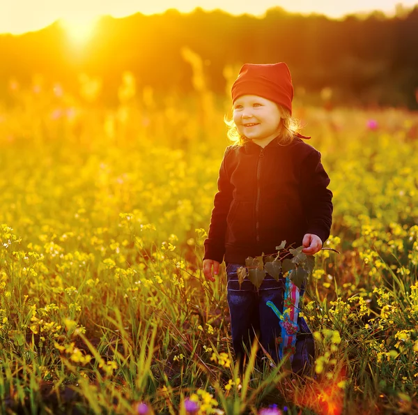 Laughing small girl with field flowers — Stock Photo, Image