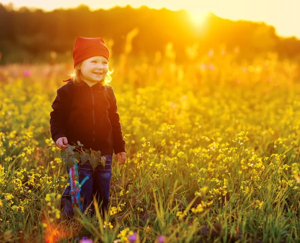 Skrattar liten flicka med fältet blommor — Stockfoto