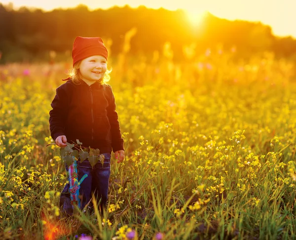 Laughing small girl with field flowers Stock Image