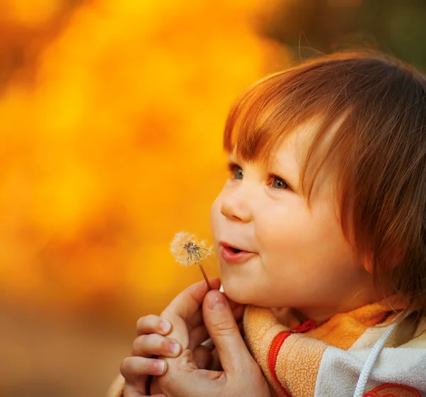 Schönes Kind bläst Löwenzahnblume weg — Stockfoto