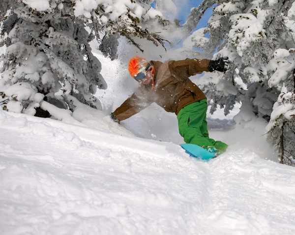 Snowboarder — Fotografie, imagine de stoc