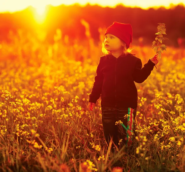 Laughing small girl with field flowers Stock Photo