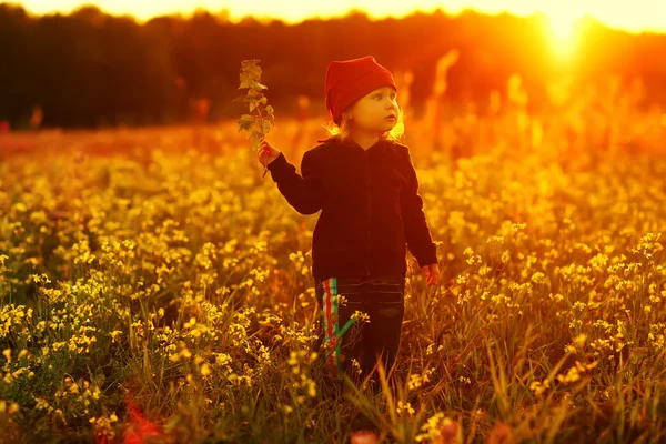 Laughing small girl with field flowers Stock Picture