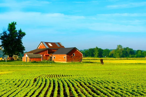 Boerderij — Stockfoto