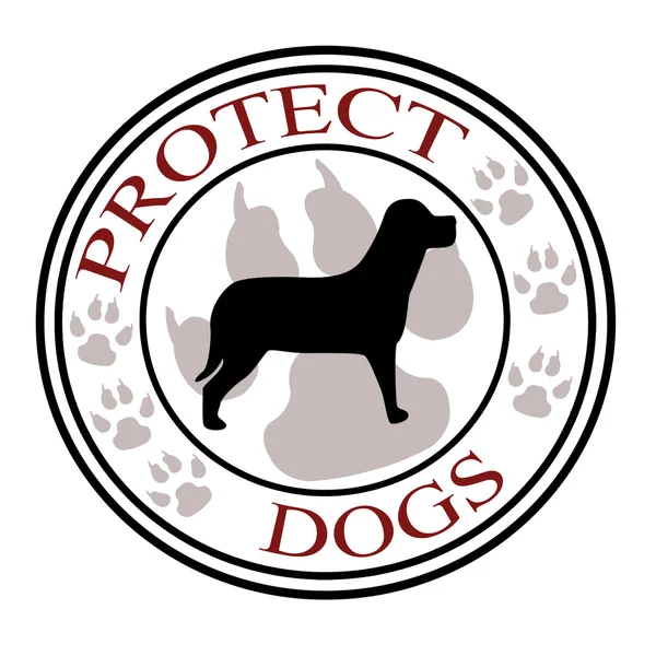 Защита собак — стоковое фото