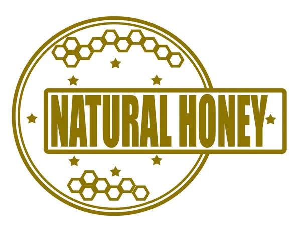 Natuurlijke honing — Stockvector