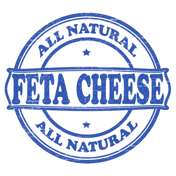 Queijo feta natural — Vetor de Stock