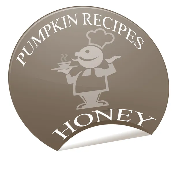 Pumpkin recipes honey — Stock Vector