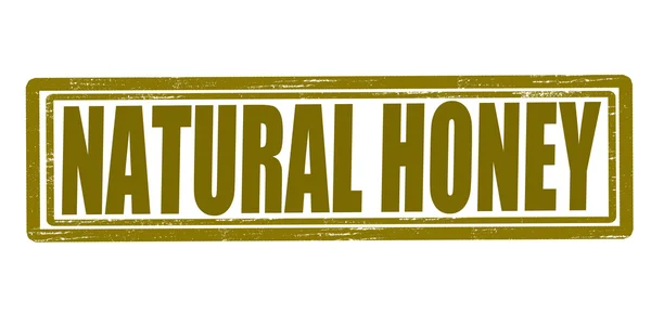 Natural honey — Stock Vector