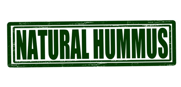 Hummus natural — Vector de stock