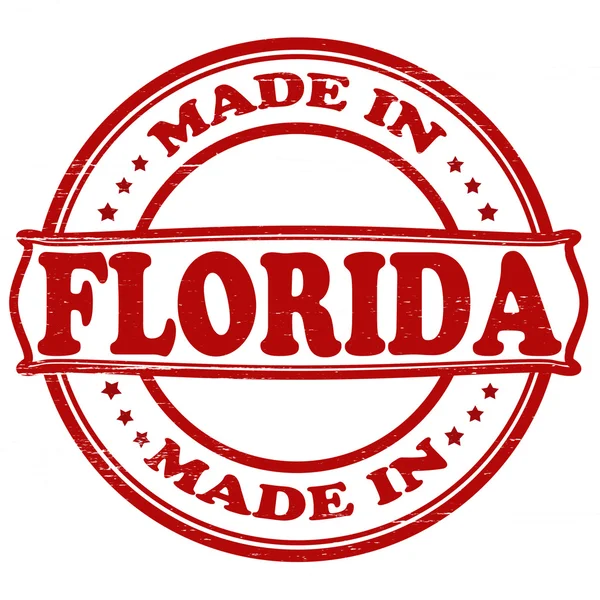 Hecho en Florida — Vector de stock