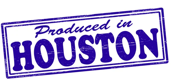 Producido en Houston — Vector de stock